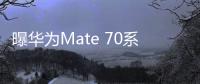 曝华为Mate 70系列将搭载全新麒麟平台：工艺改进推迟到Q4发布